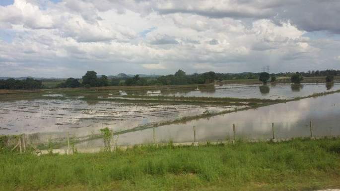 FB_IMG_1453712079422.jpg image