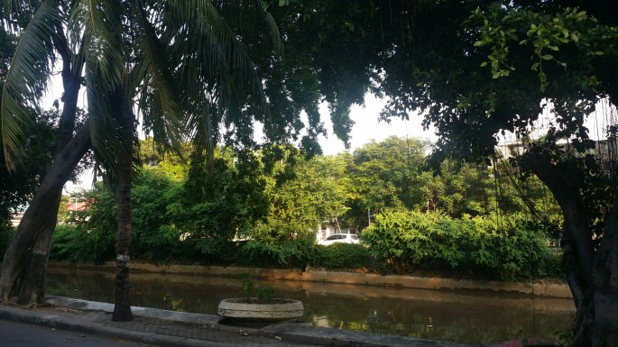 20160327_170328.jpg image