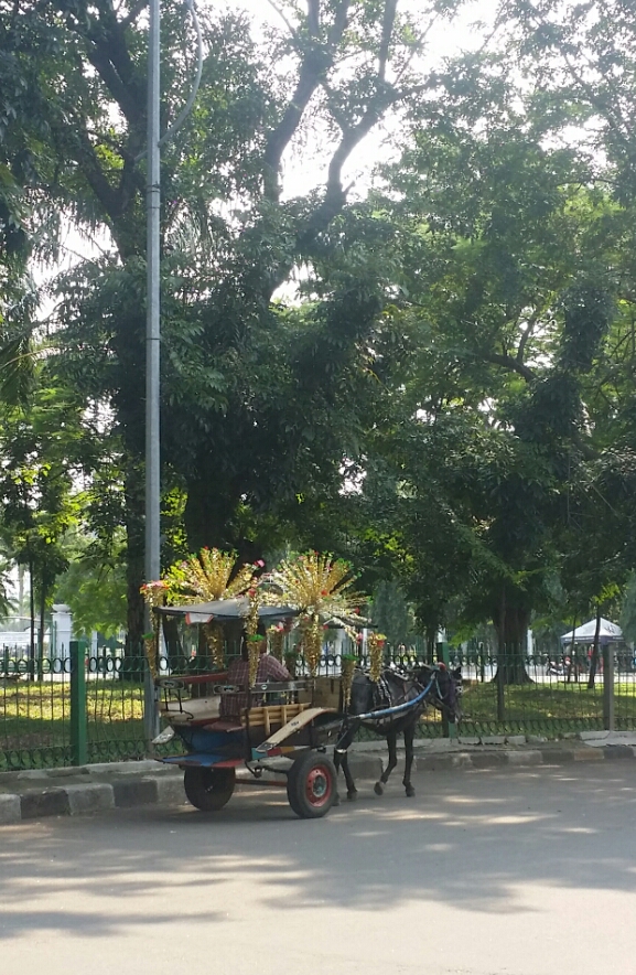 20160327_174515.jpg image